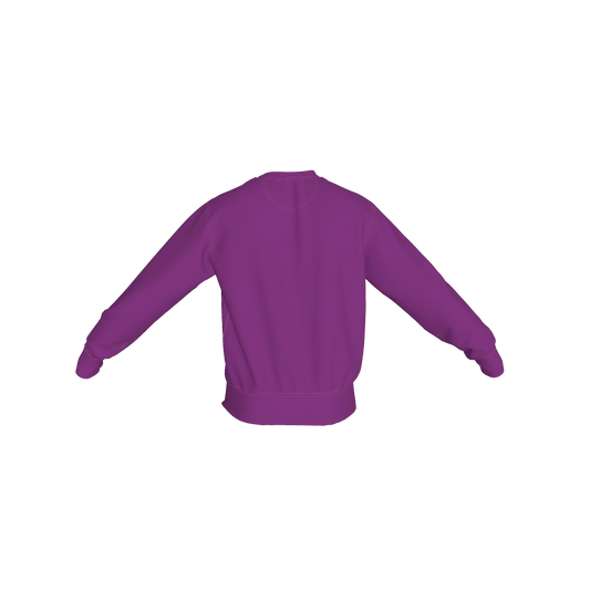 Crew Neck Sweatshirt with Inset V