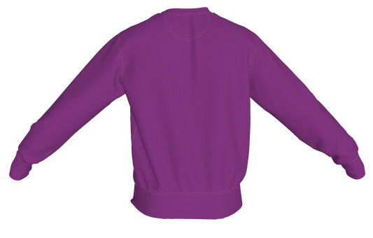 Crew Neck Sweatshirt with Inset V