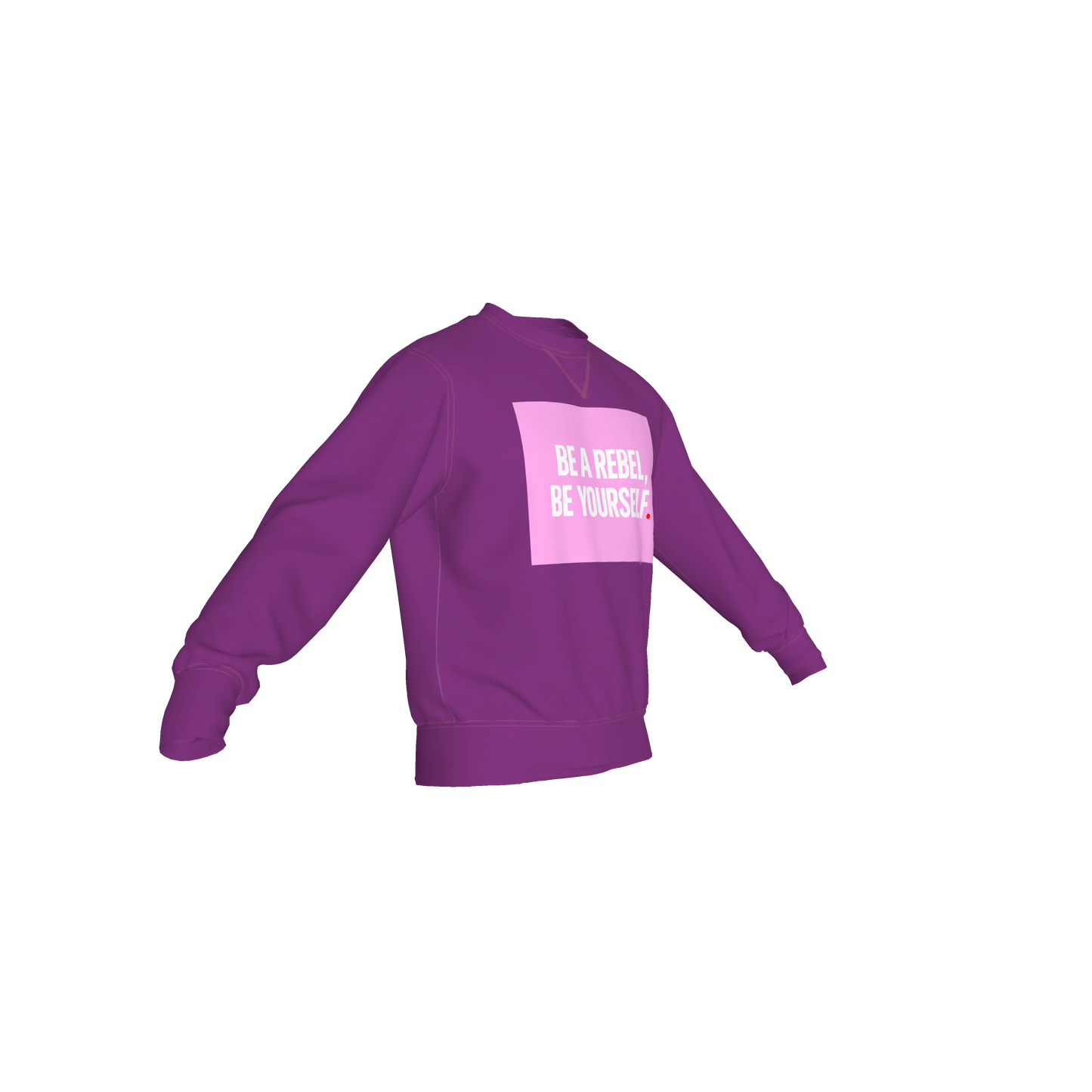 Crew Neck Sweatshirt with Inset V