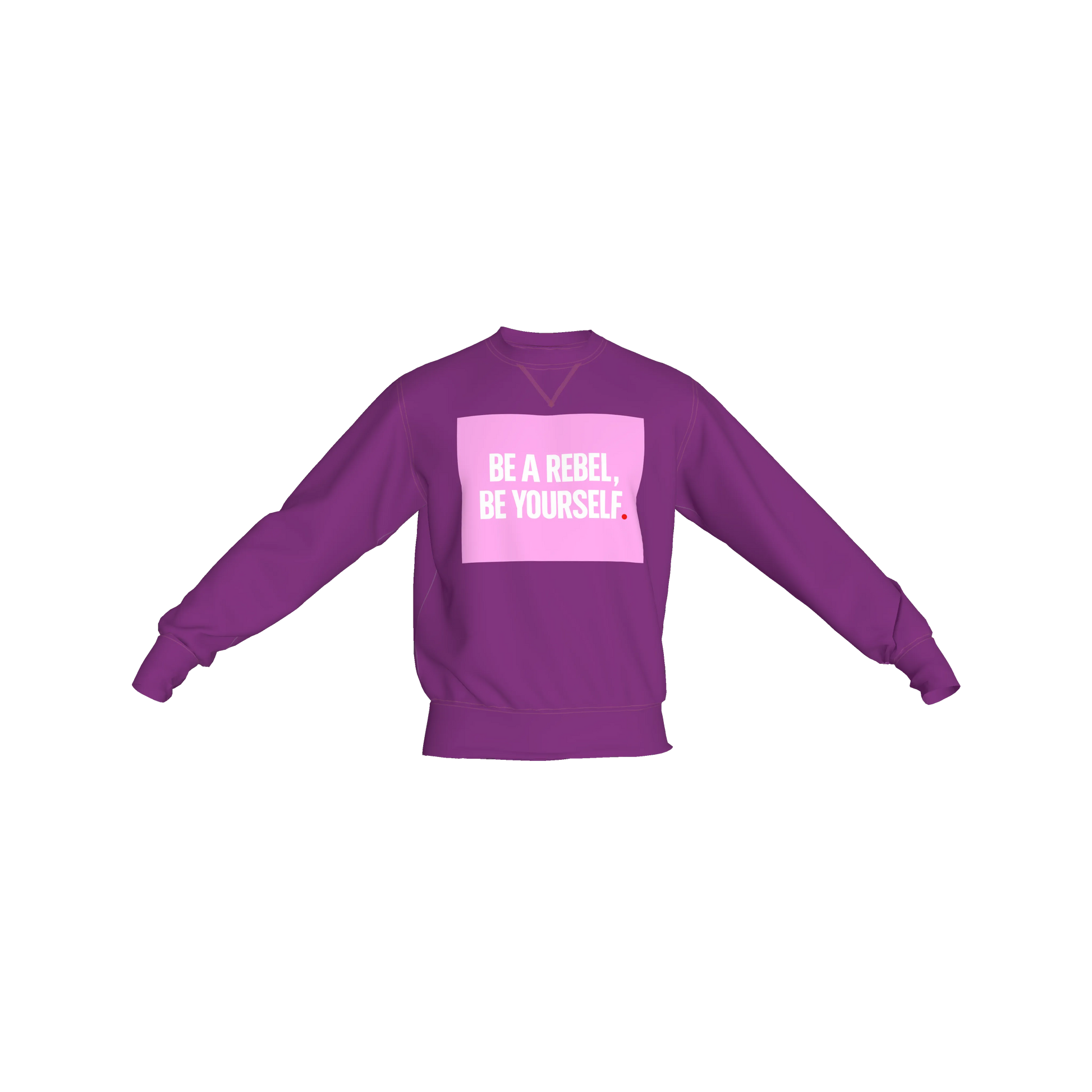 Crew Neck Sweatshirt with Inset V