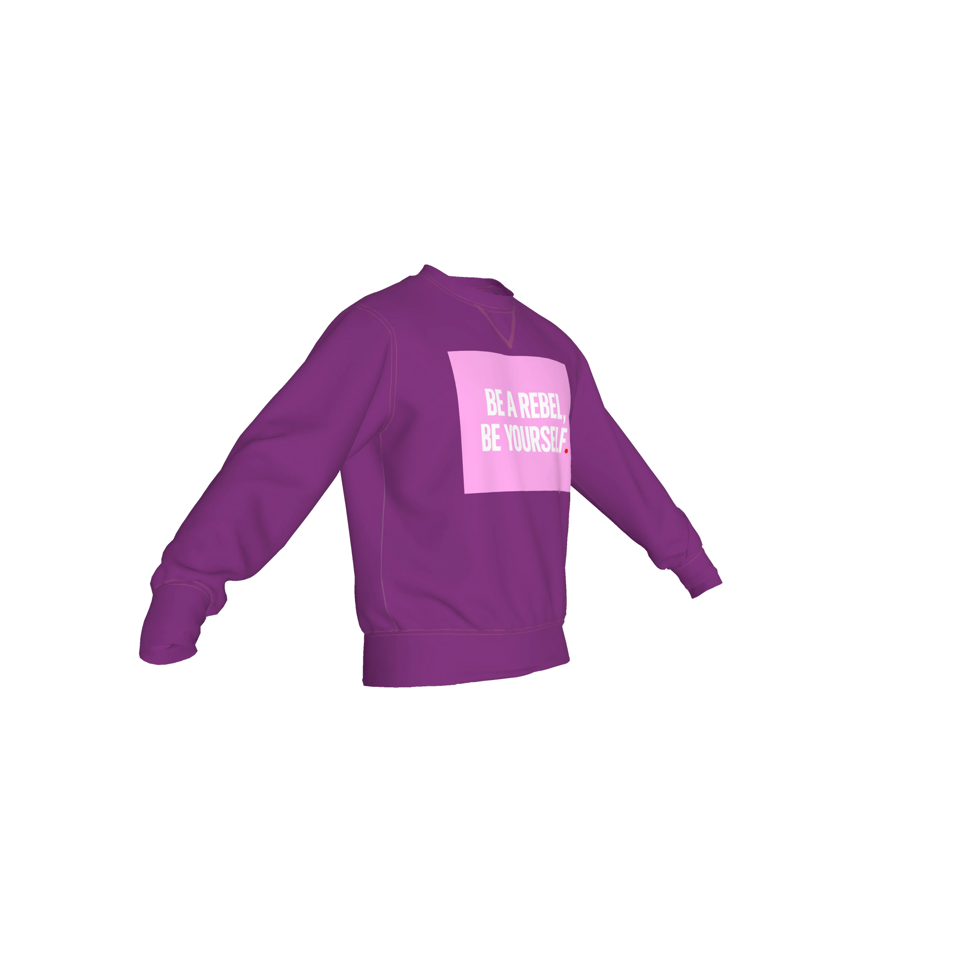 Crew Neck Sweatshirt with Inset V